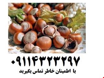 خرید و فروش صنایع غذایی-قیمت فندق ، فروش فندق ، خرید فندق